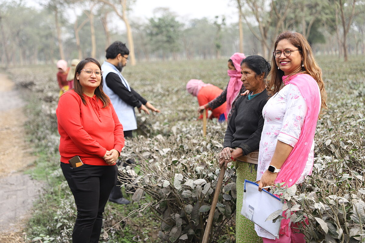 A group of people standing and talking at tea plant. Some people are collecting tea leaves.