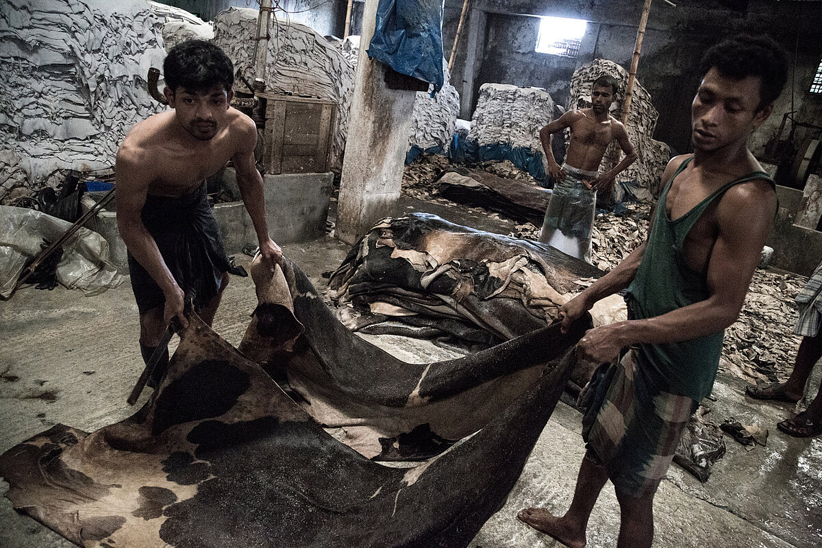 A photo of tannery workers working in the factory
