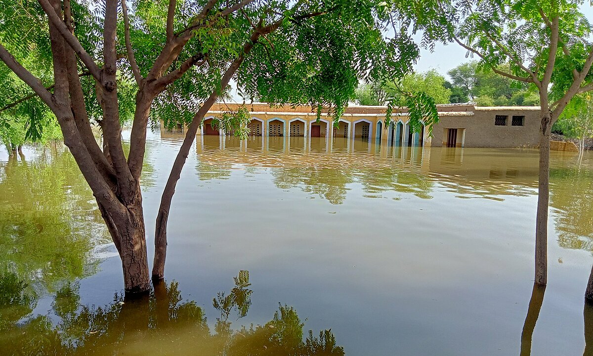 A primary school flooded in Khairpur district, Sindh, Pakistan