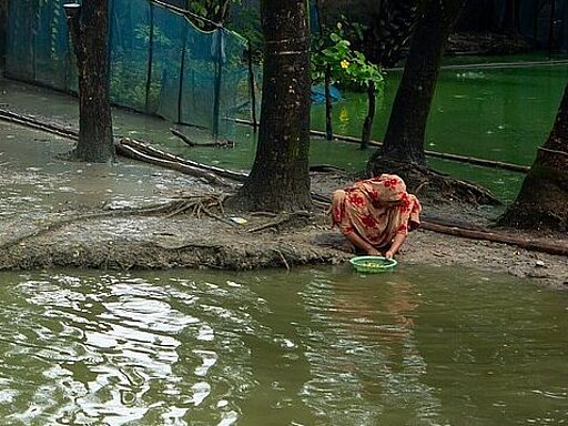 Climate change's devastating toll: Salinity's impact on coastal women's health in Bangladesh