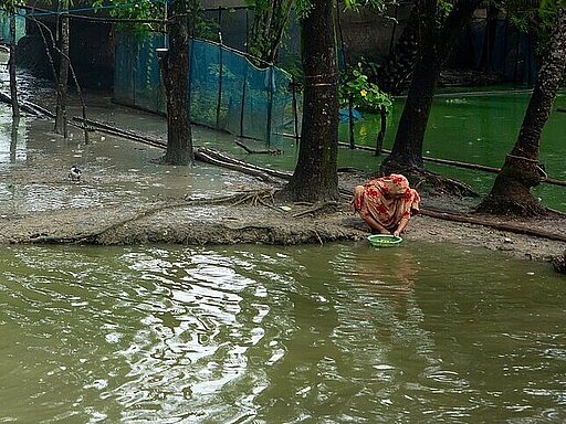 Climate change's devastating toll: Salinity's impact on coastal women's health in Bangladesh