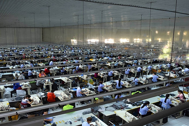 Trade, labour and social dialogue