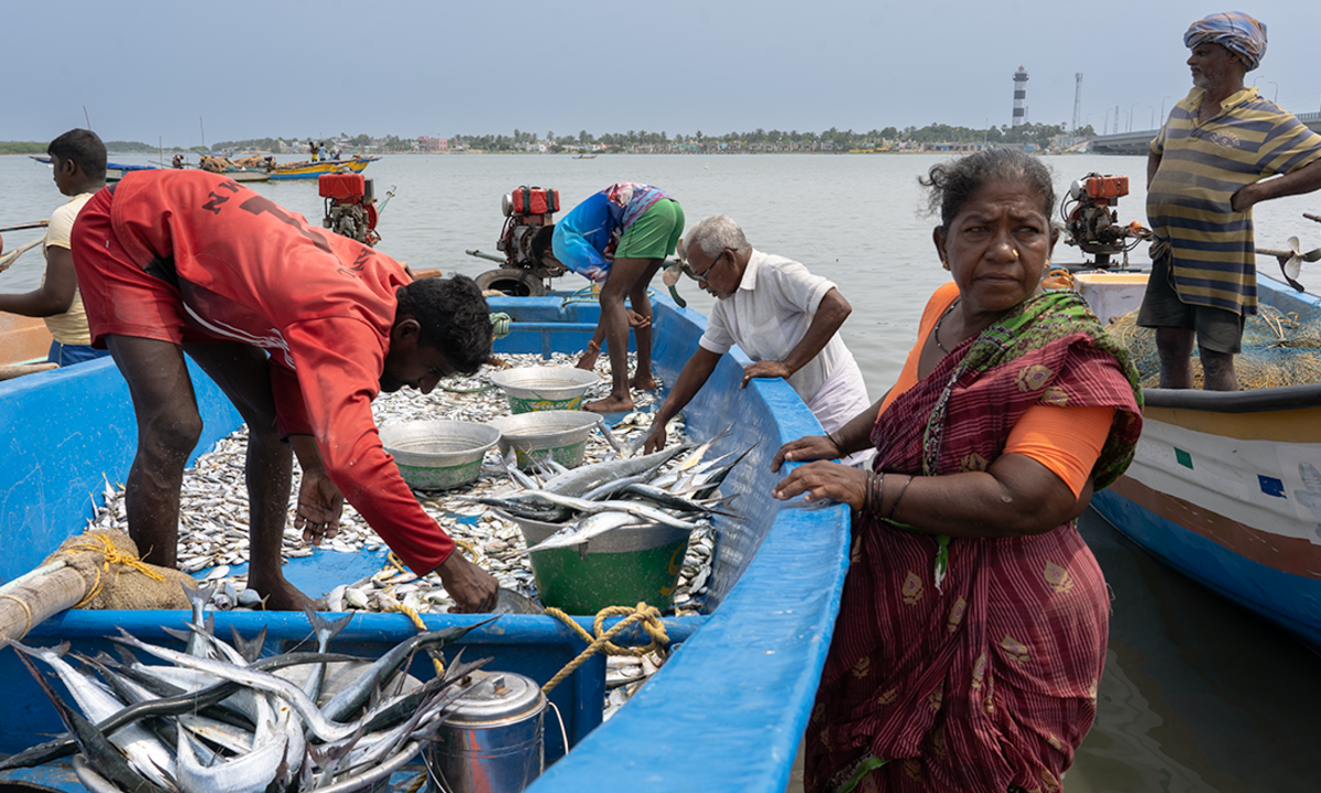 Fisherfolk of Chennai | © Friedrich-Ebert-Stiftung / Shruthi Kulkarni