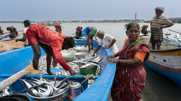 Fisherfolk of Chennai | © Friedrich-Ebert-Stiftung / Shruthi Kulkarni