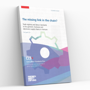 Cover of FES publication: The missing link in the chain?