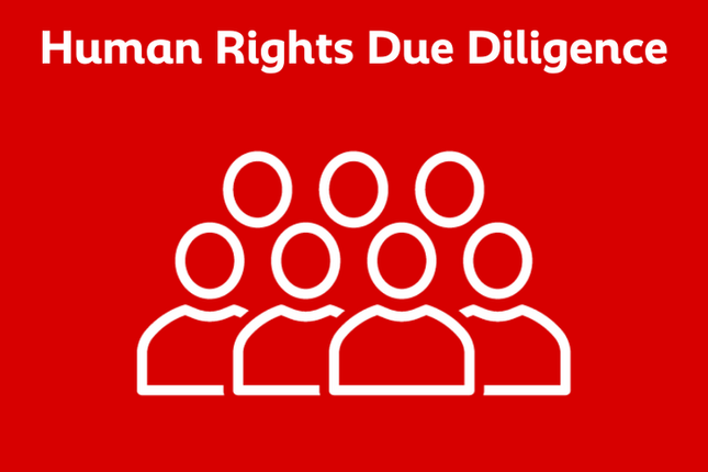 Human Rights Due Diligence (HRDD)