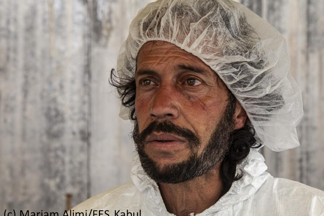 Pictures of the pandemic